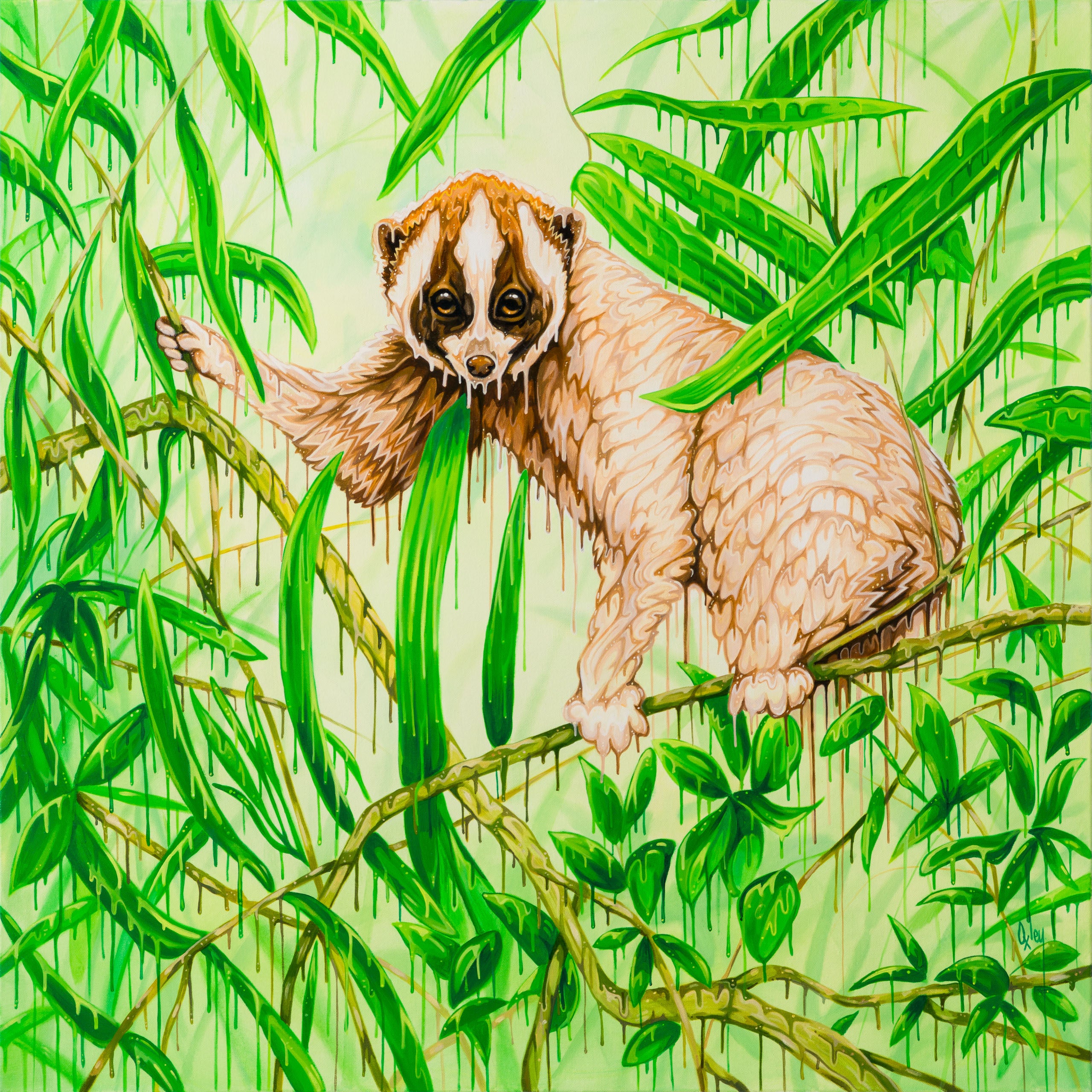 BOX ORI WWL 33207 Manyana 30