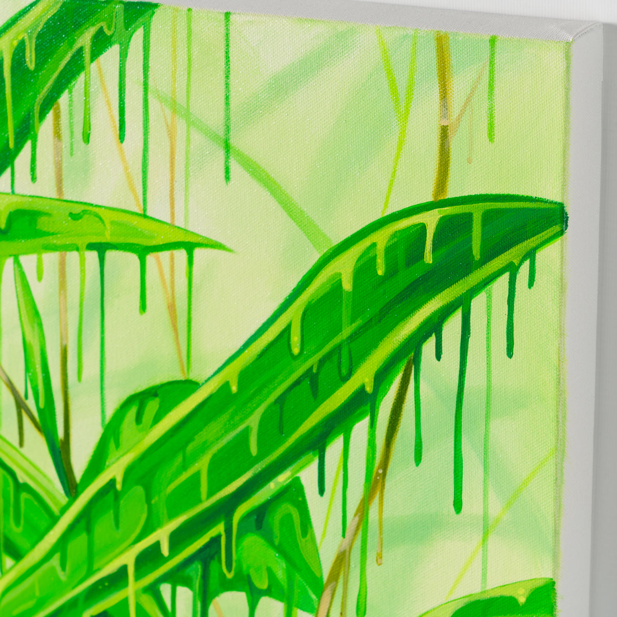 BOX ORI WWL 33207 Manyana 5