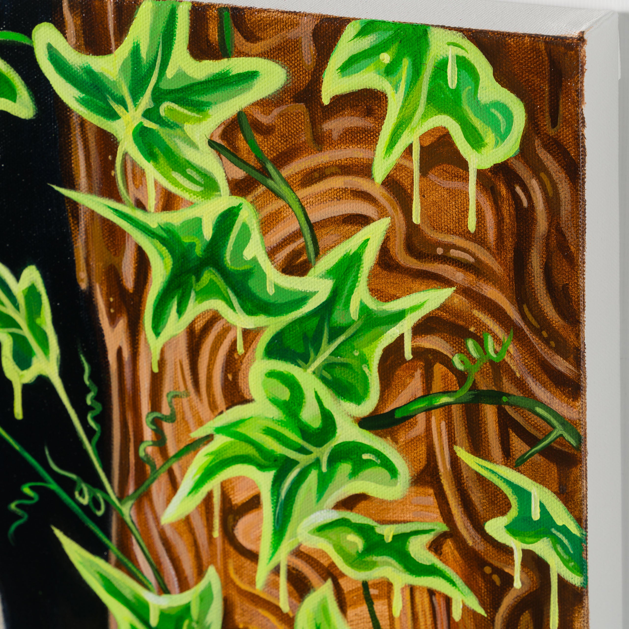 BOX ORI WWL 33208 Peek A Boo 4