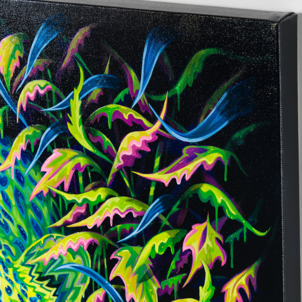 BOX ORI WWL 33619 On Through The Night 5