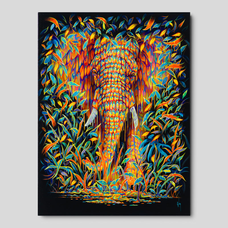 BOX ORI WWL 33620 Gardenia 1