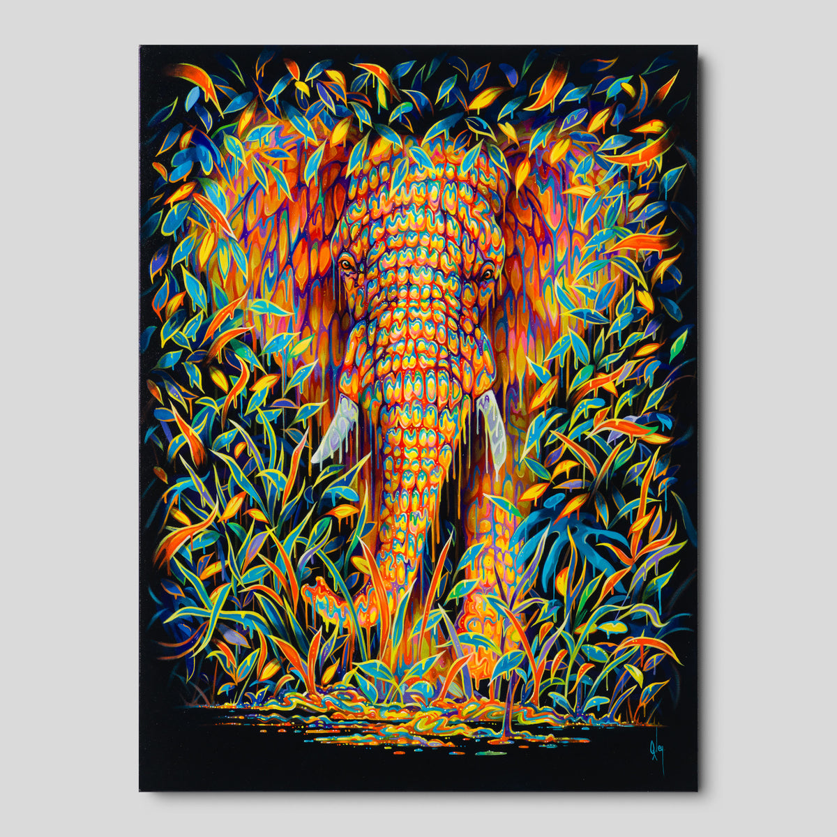 BOX ORI WWL 33620 Gardenia 1