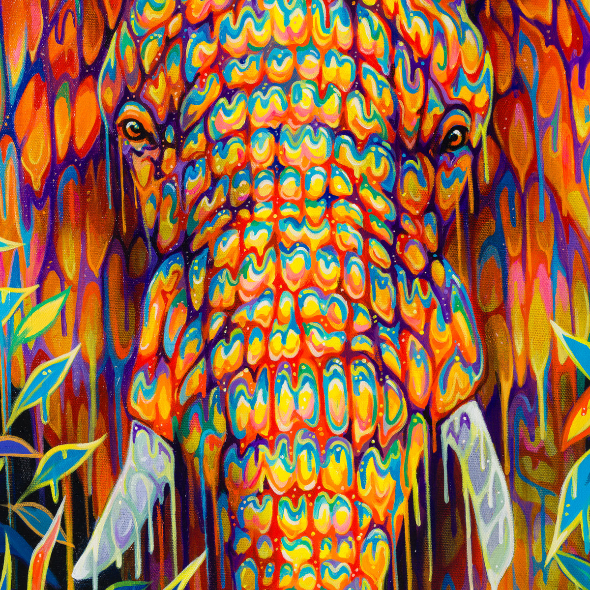 BOX ORI WWL 33620 Gardenia 5