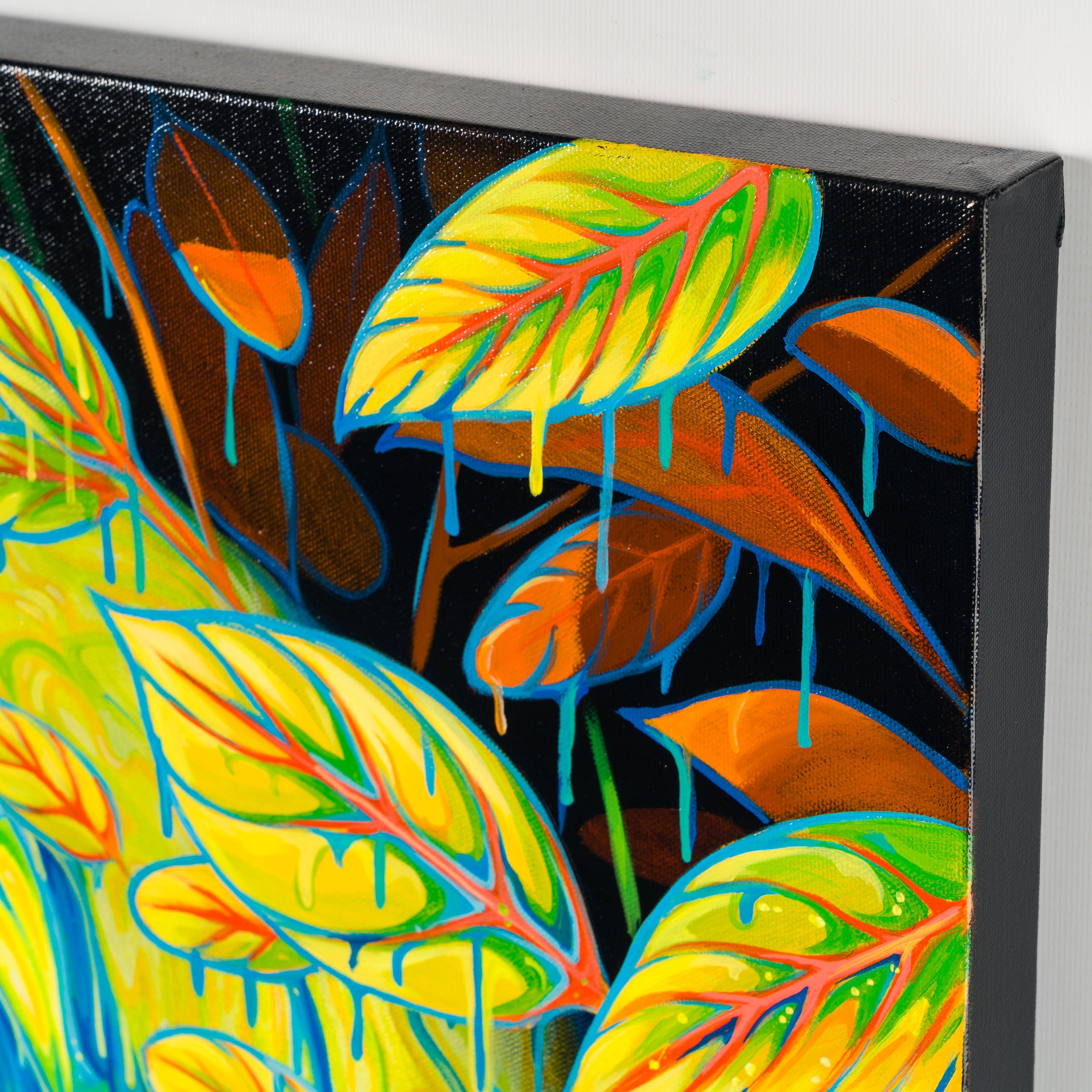 BOX ORI WWL 34672 I Hope You Find the Good Life 5