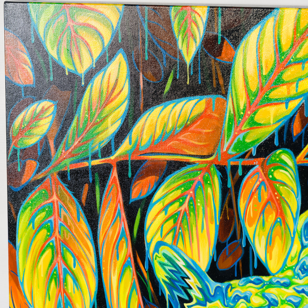 BOX ORI WWL 34672 I Hope You Find the Good Life 6