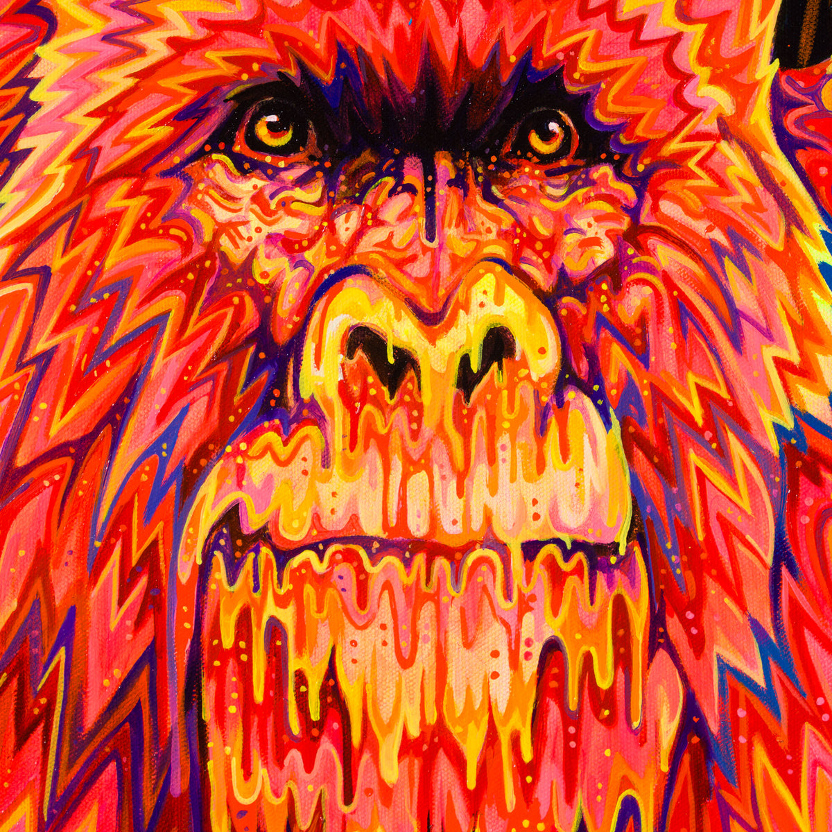 BOX ORI WWL 34673 It s Good to Be Free 4