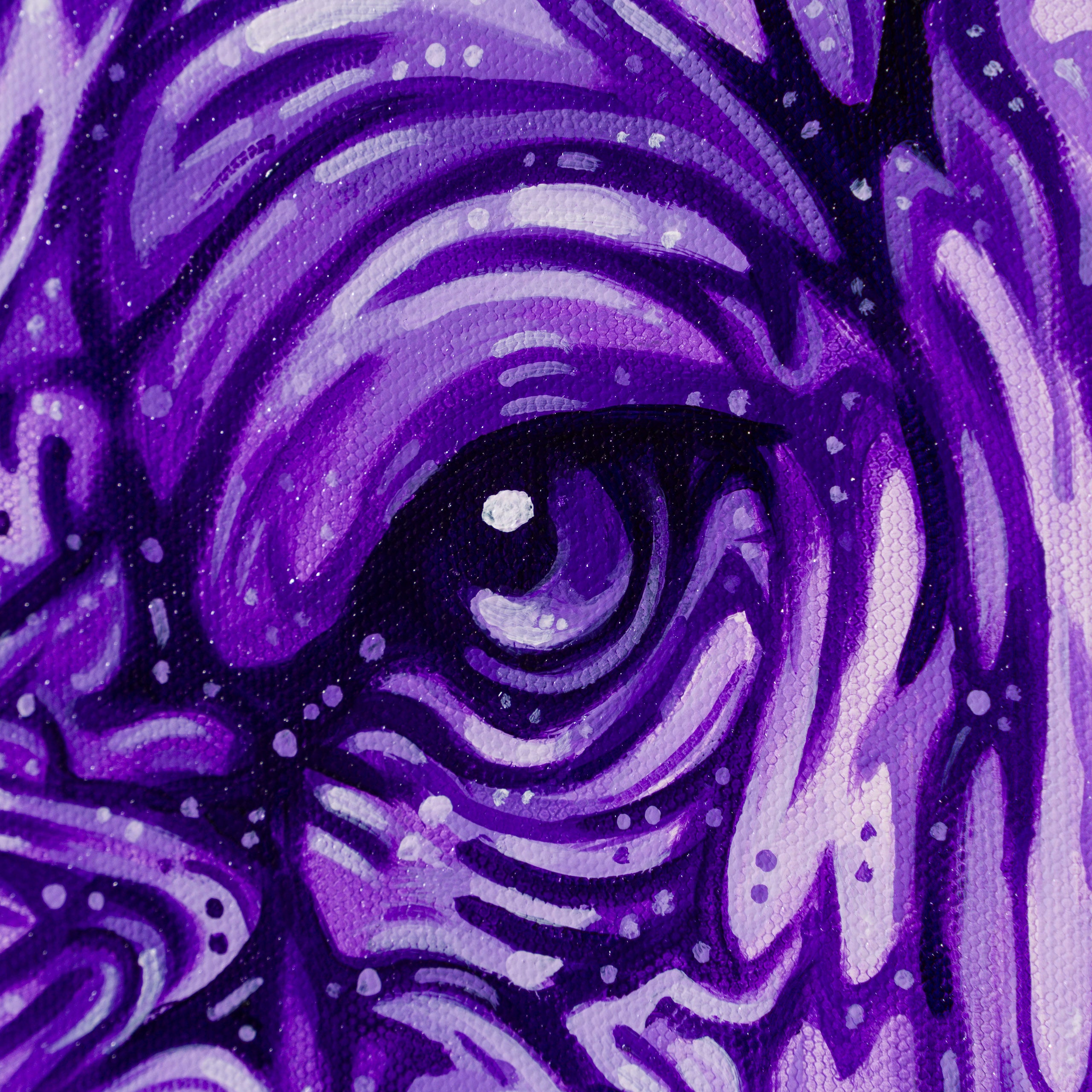 BOX ORI WWL 35137 Let s Get Lost 4