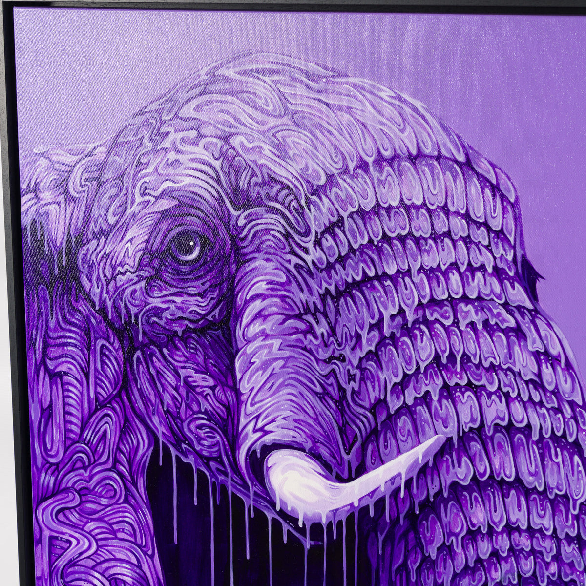 BOX ORI WWL 35141 Do Right 5