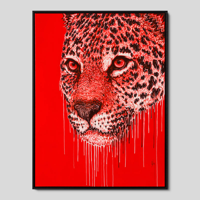 BOX ORI WWL 35145 Rama 1