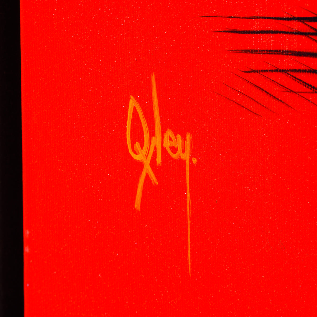 BOX ORI WWL 35622 After Durer 3