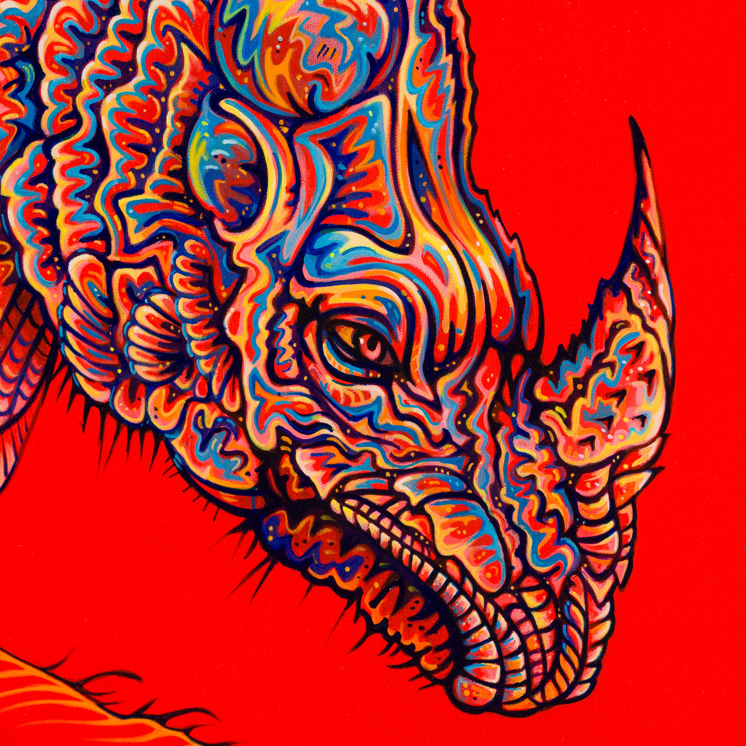 BOX ORI WWL 35622 After Durer 4