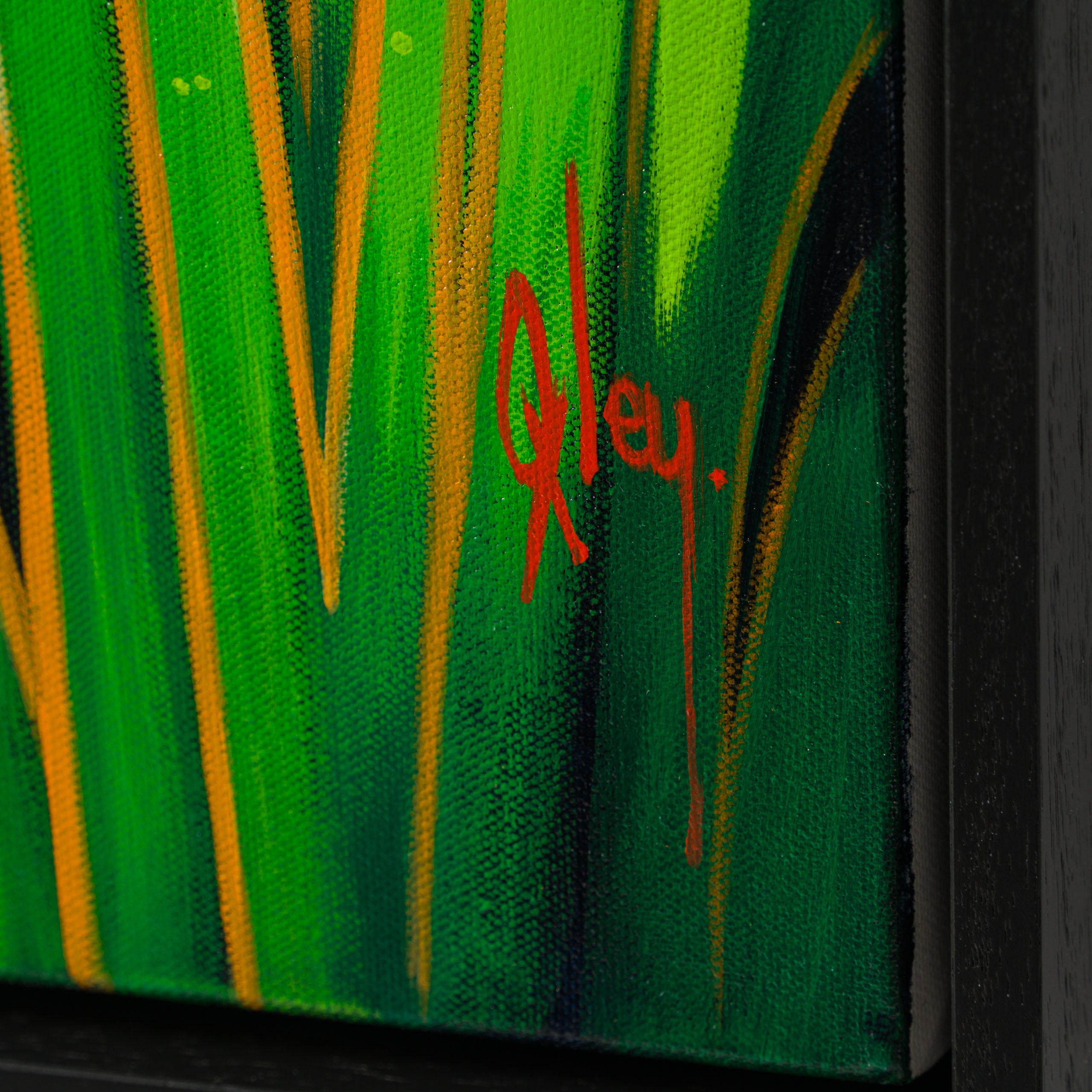 The Dream Belongs To The Dreamer