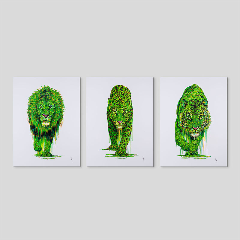 BOX Set of Three LARGE LINED