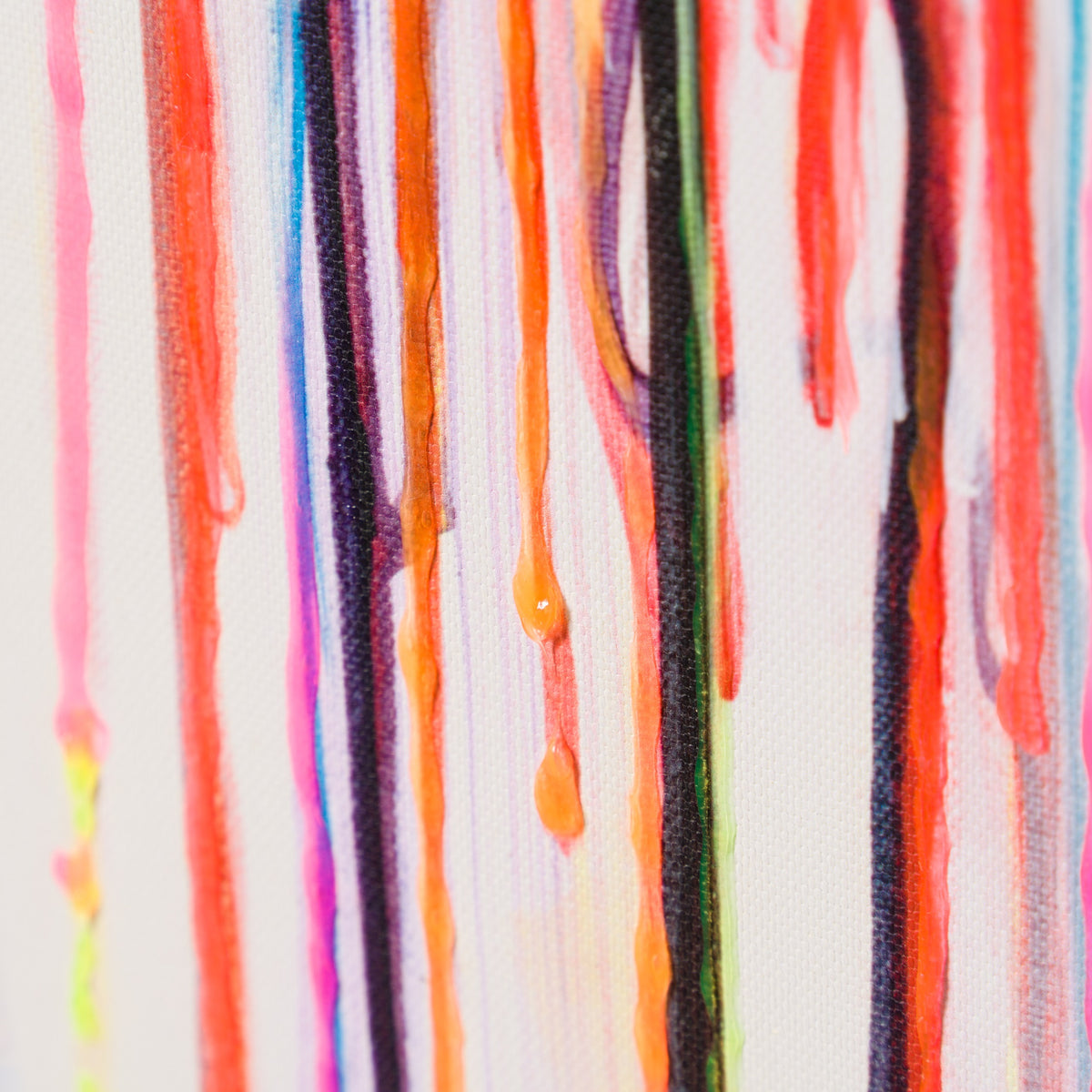 BOX SLE WWL 08068 6 Callisto