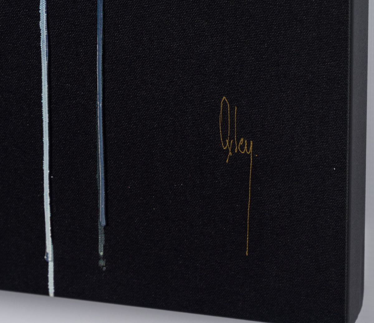 BOX SLE WWL 13571 5 Ruru