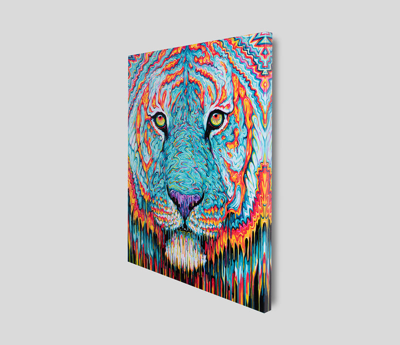 BOX SLE WWL 26477 2 SPECTRE