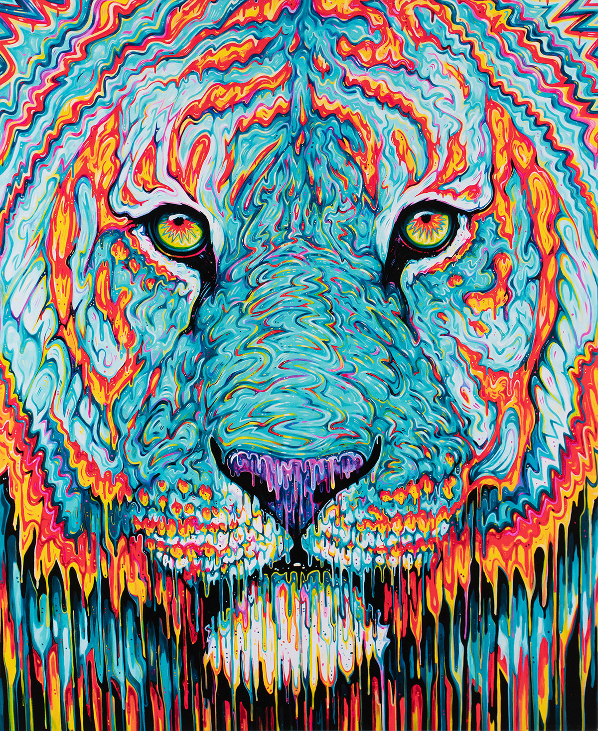 BOX SLE WWL 26477 3 SPECTRE