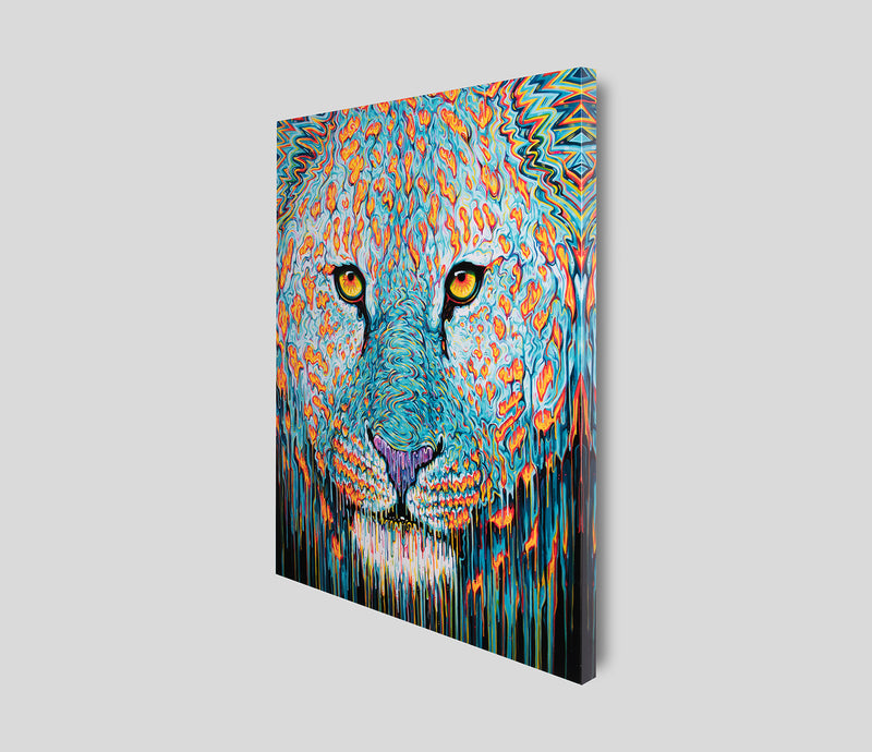 BOX SLE WWL 26478 2 SPIRIT