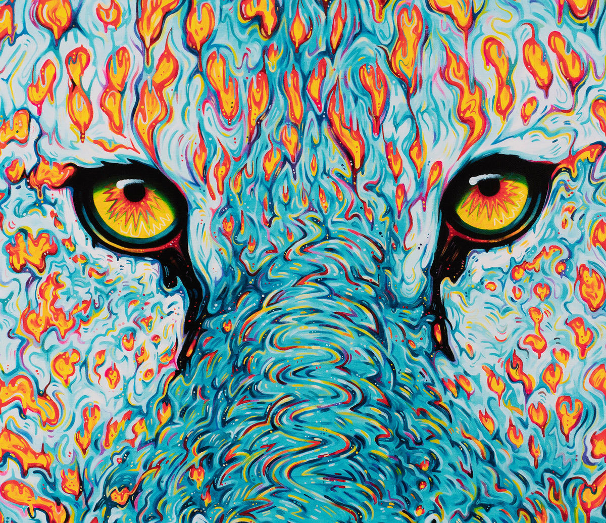 BOX SLE WWL 26478 4 SPIRIT