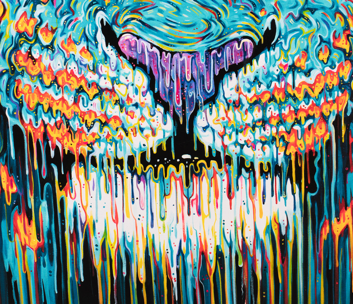 BOX SLE WWL 26478 6 SPIRIT