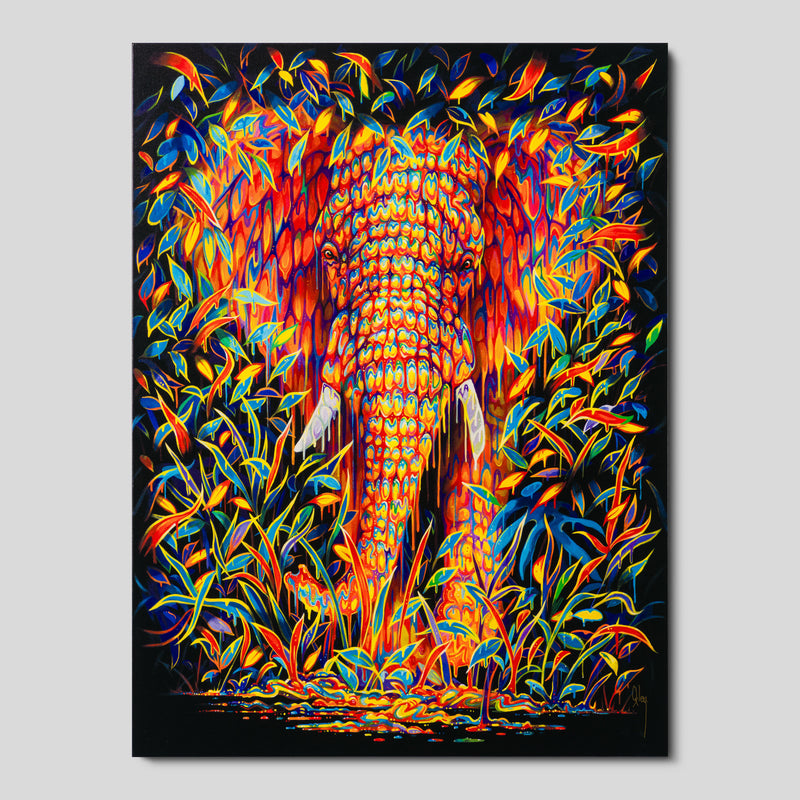 BOX SLE WWL 34163 Gardenia 1