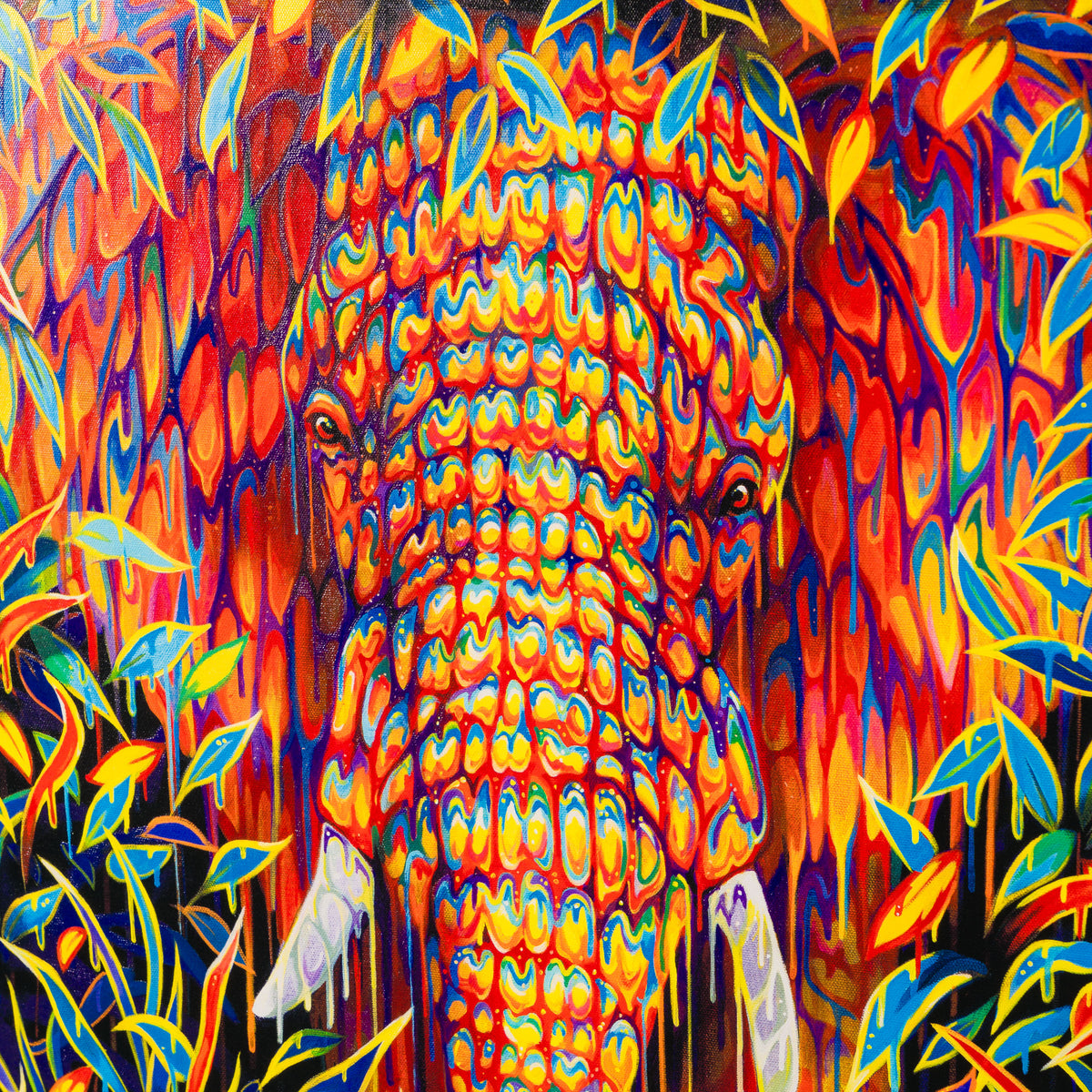 BOX SLE WWL 34163 Gardenia 6