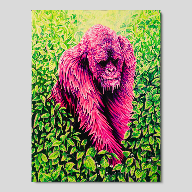 BOX SLE WWL 34164 The Alchemist 1