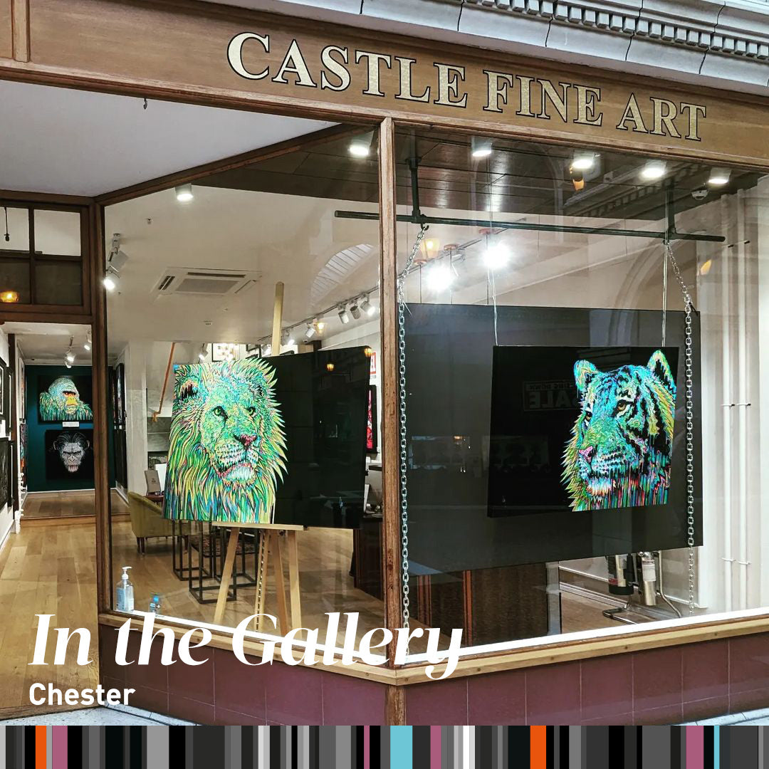 Triumph- Set of Three