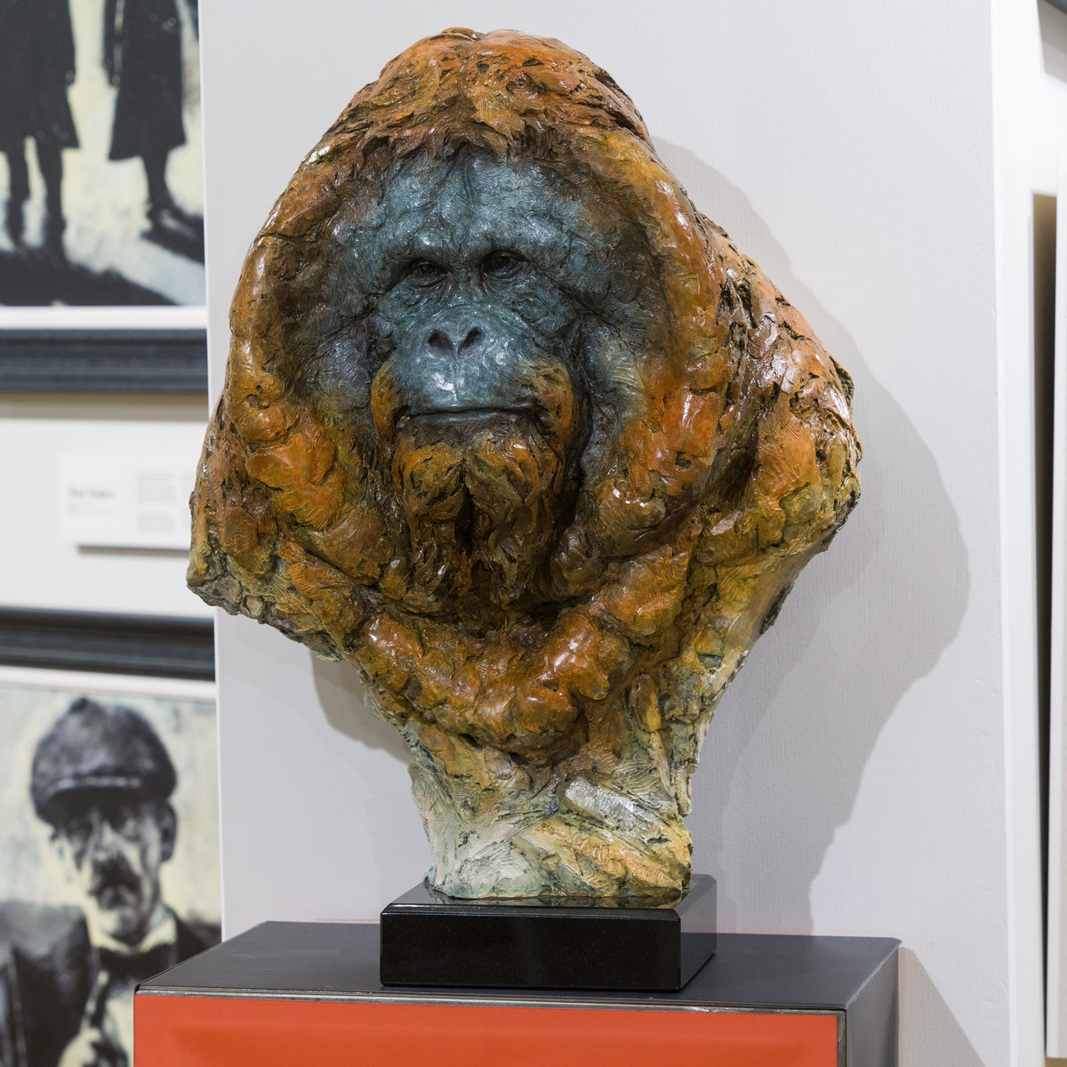 Cambridge Gallery 82