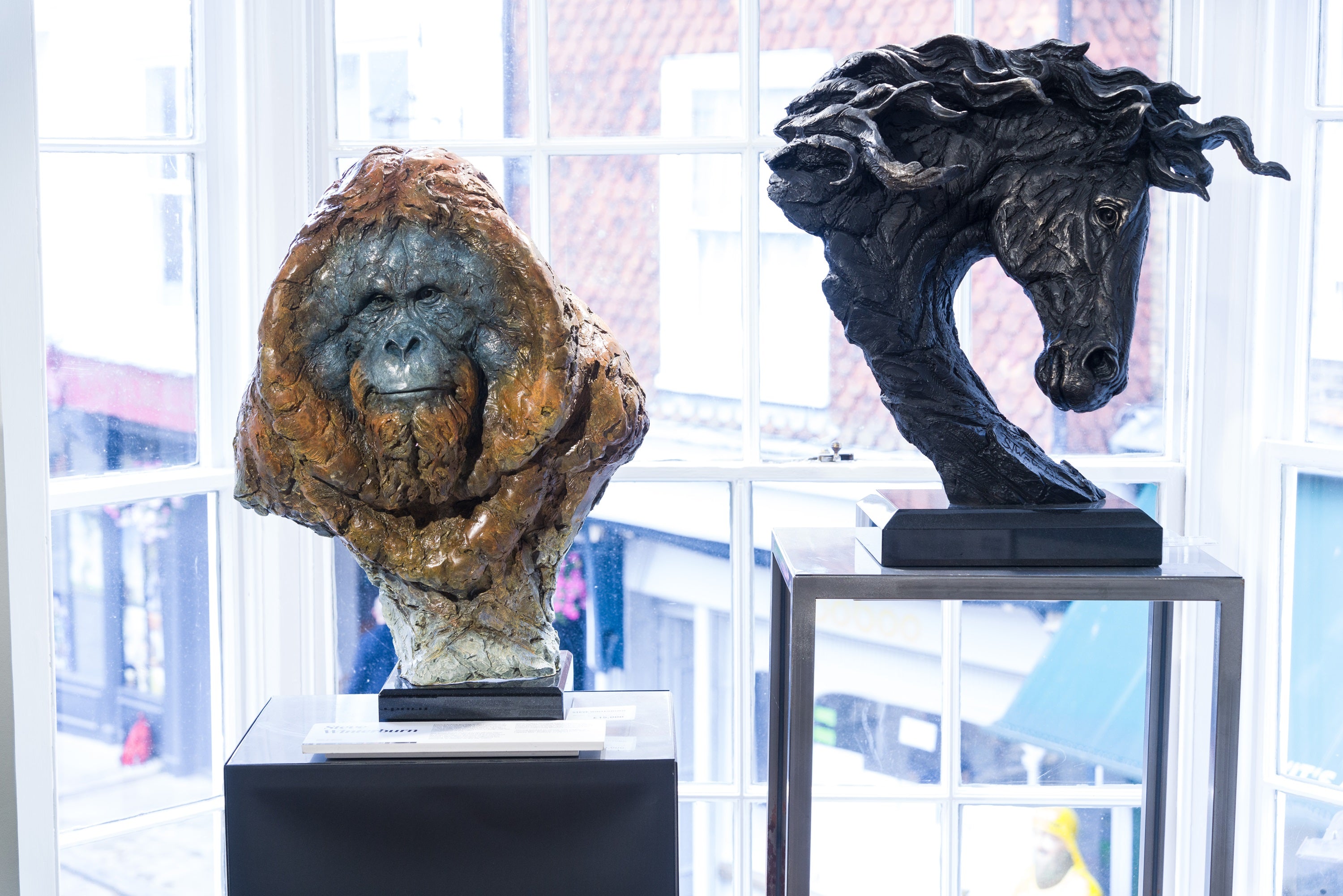 Product image 3 for steve-winterburn-spirit-of-the-seas