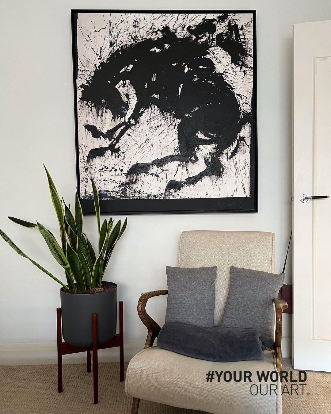 CFA Client, RHA, Tribecca Rider, YWOA entry