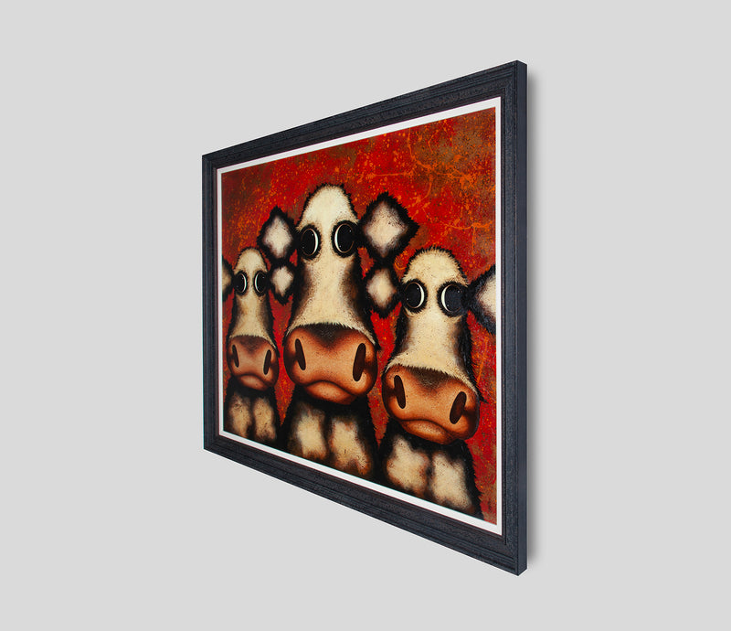 CSH ORI HUM 08673 2 Jackson Bullocks