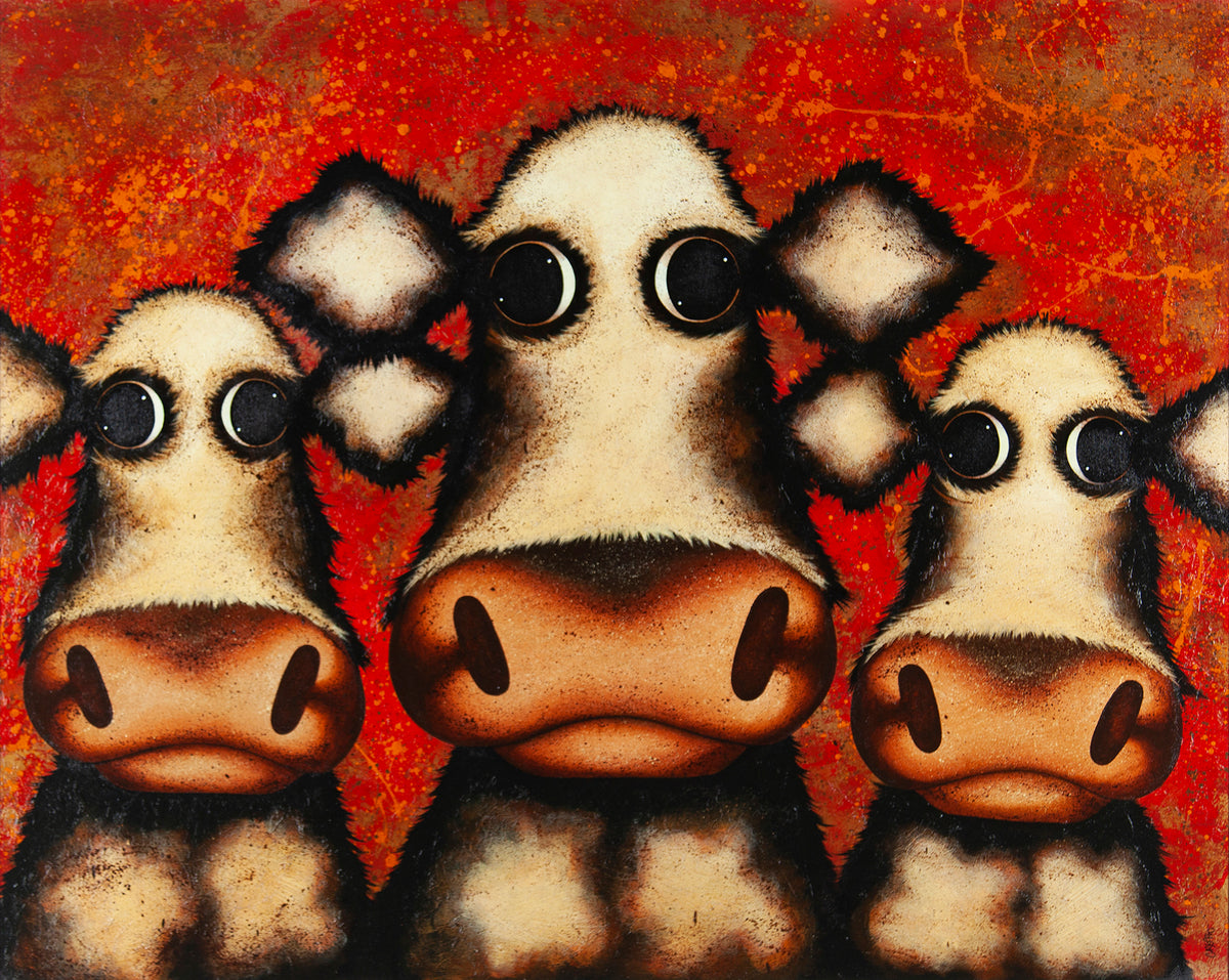 CSH ORI HUM 08673 3 Jackson Bullocks