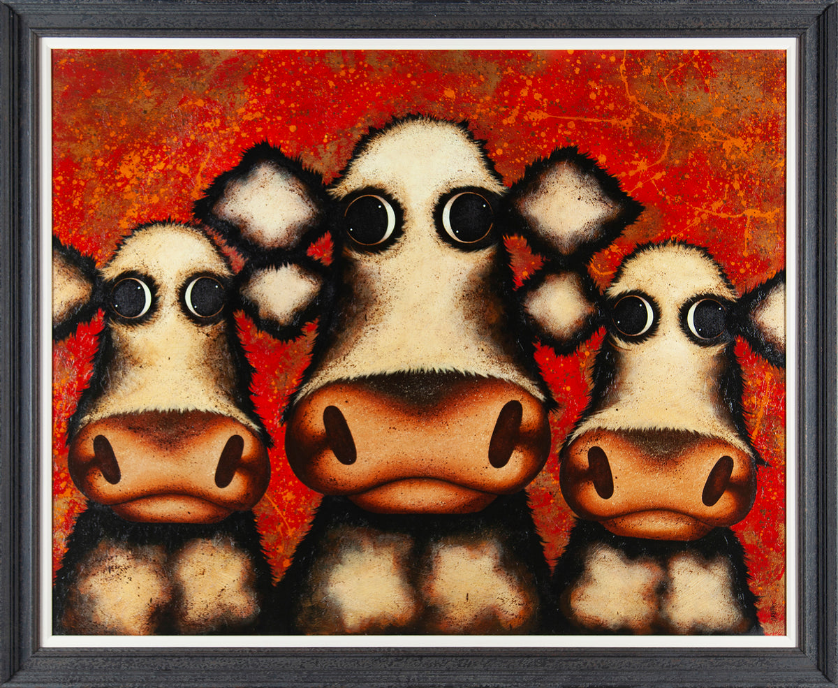 CSH ORI HUM 08673 4 Jackson Bullocks