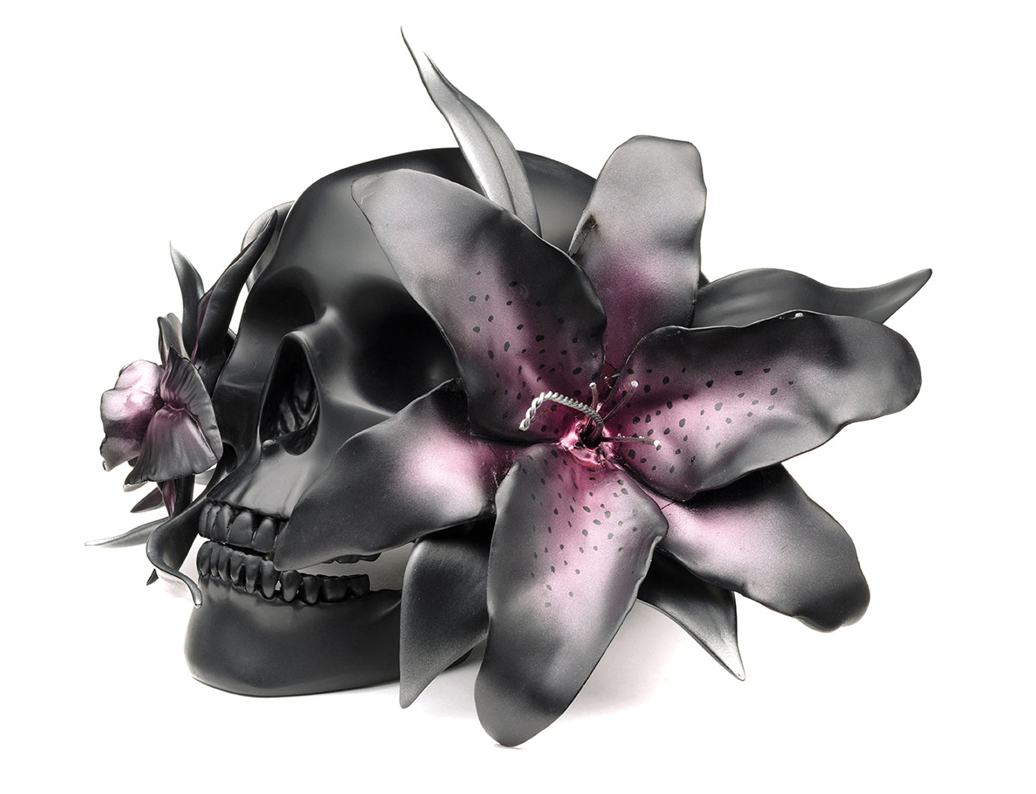 DLA OPEN YOUR SENSES A434343