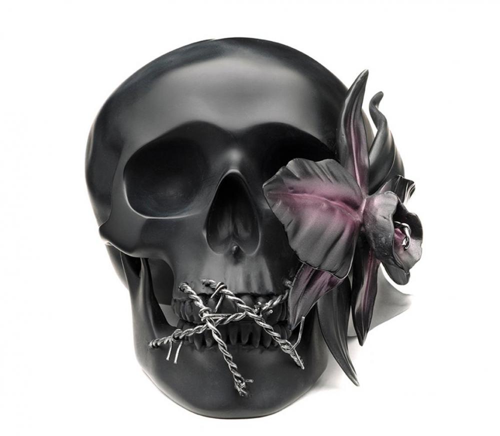 DLA OPEN YOUR SENSES C4343434