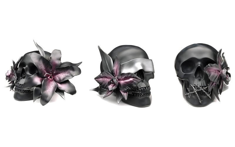 DLA OPEN YOUR SENSES set54545