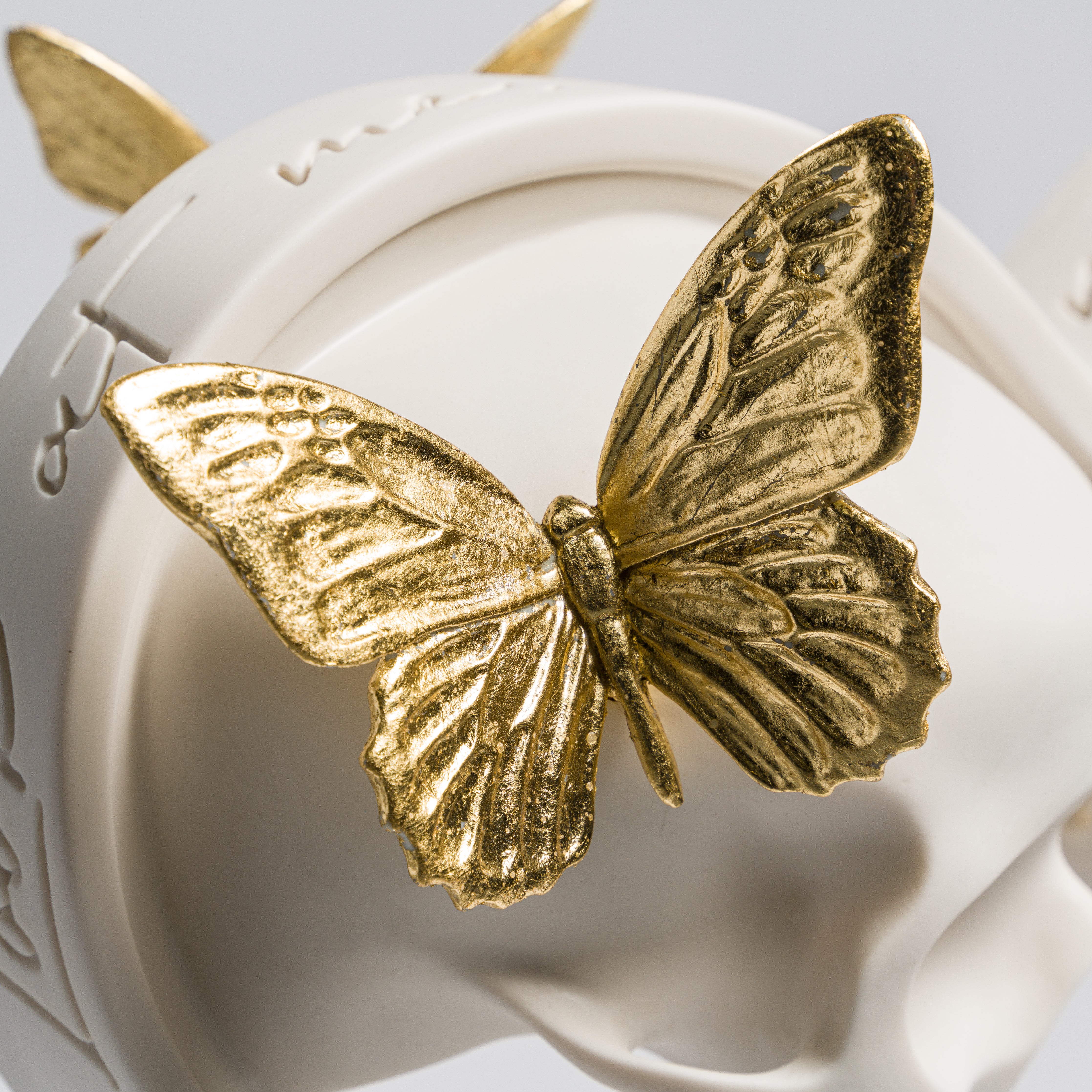 DLN 8 Look At Me Tell Me What You Love