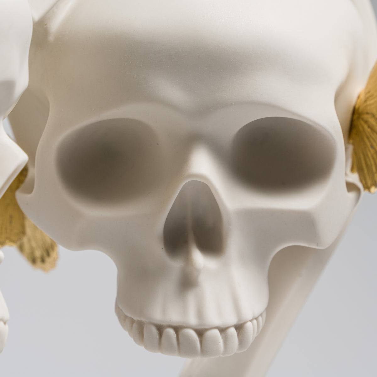 DLN 9 Look At Me Tell Me What You Love