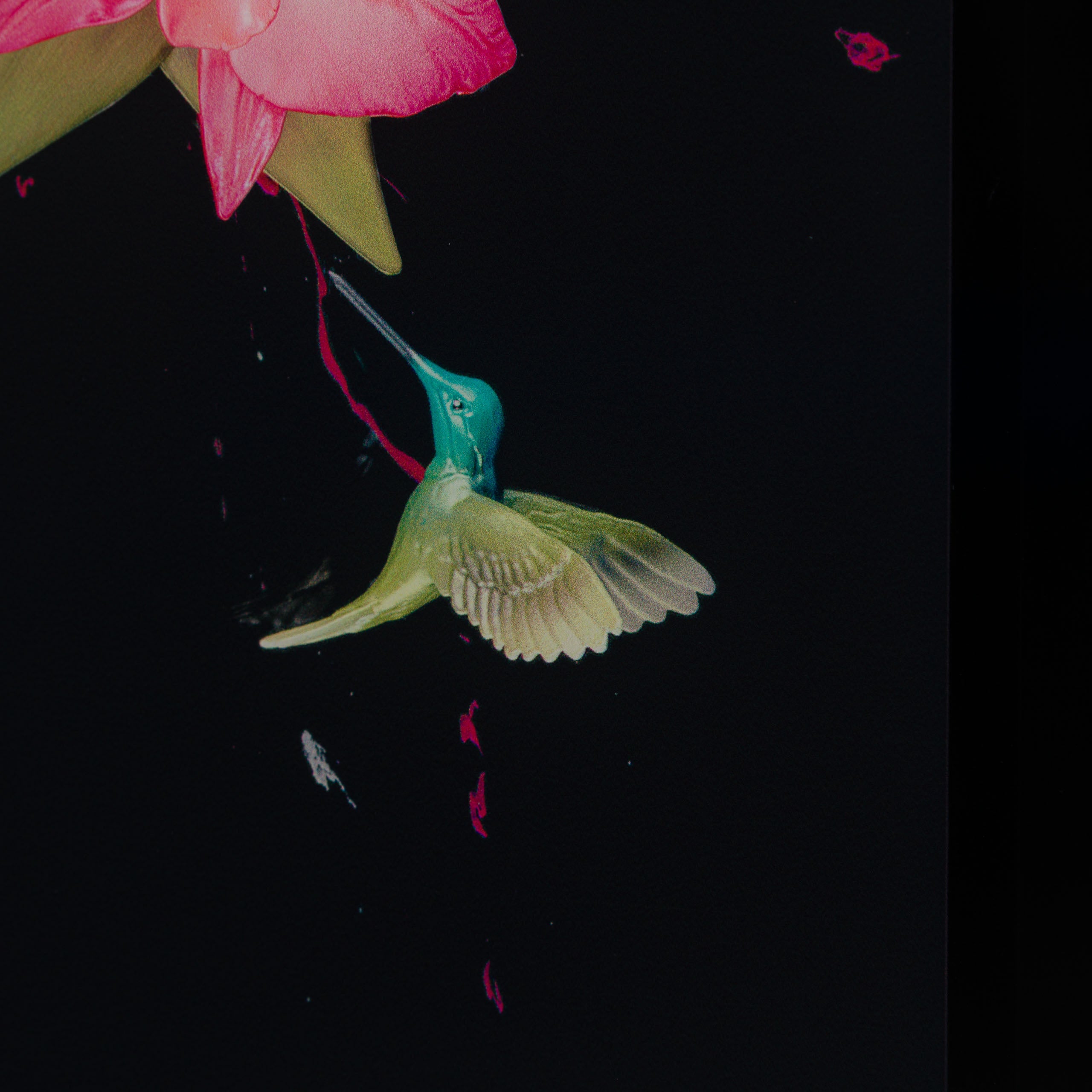 DLN Money Only Goes So Far Love Is Infinite 5