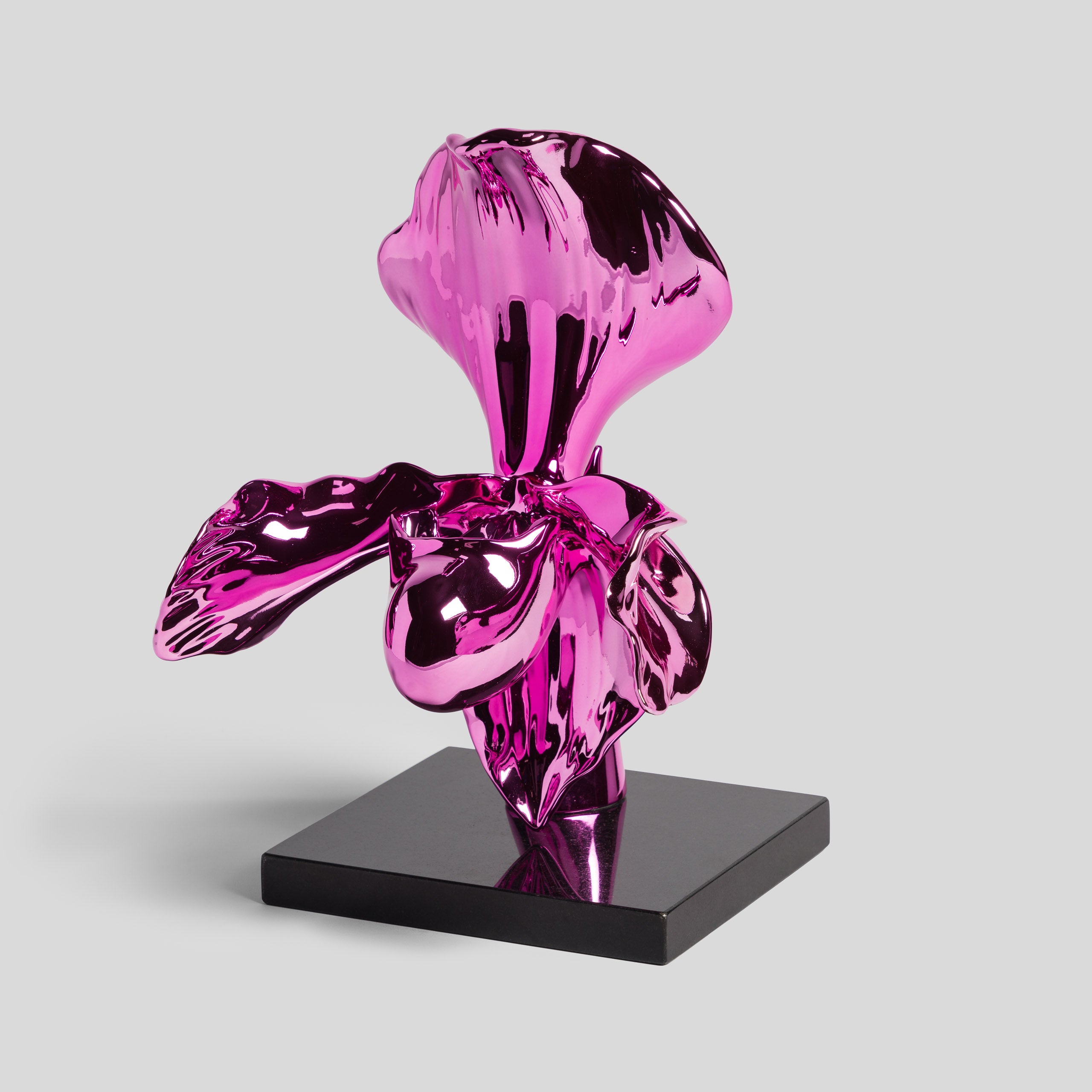 DLN ORI FLO 35389 Paphiopedilum (Pink Chrome) 2