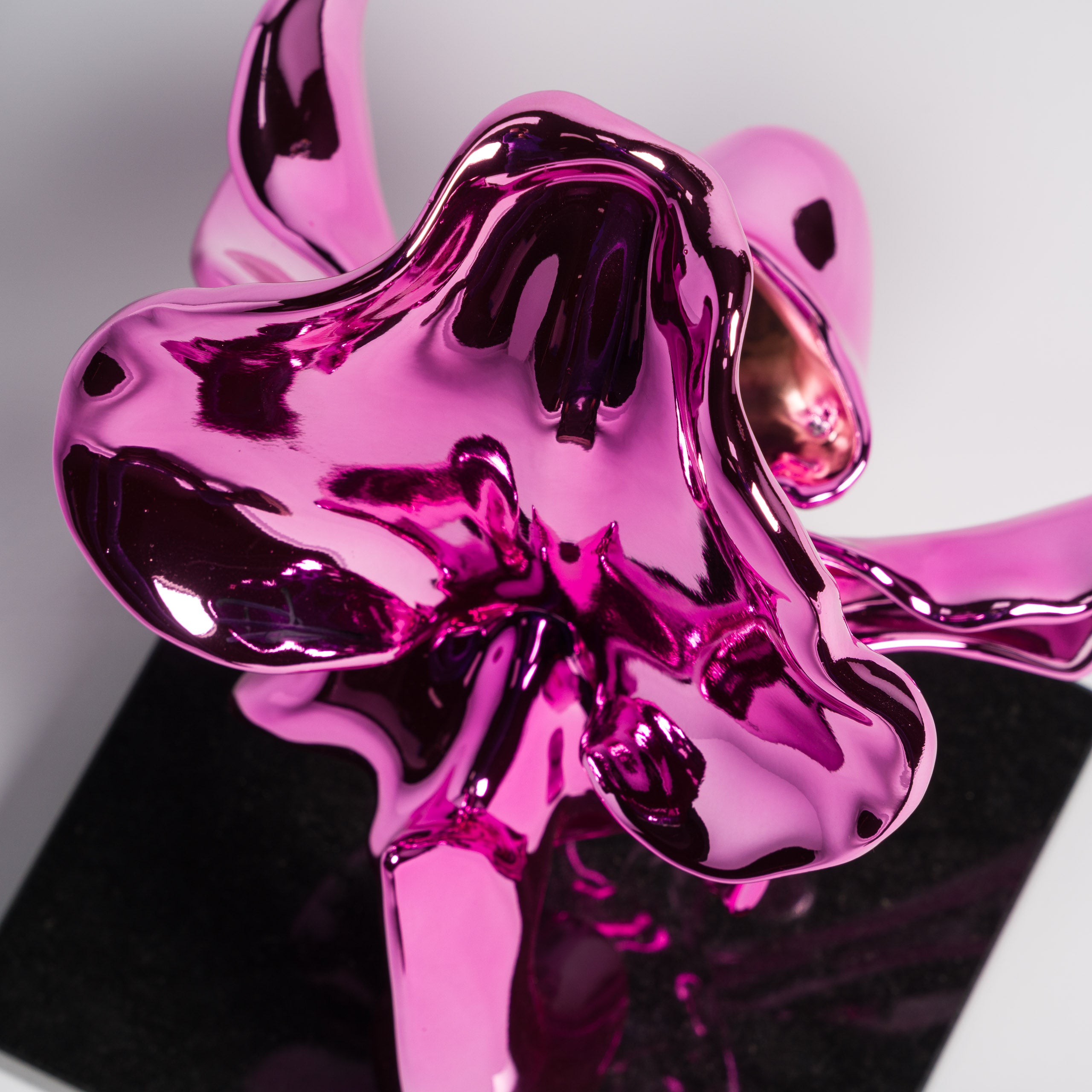 DLN ORI FLO 35389 Paphiopedilum (Pink Chrome) 7