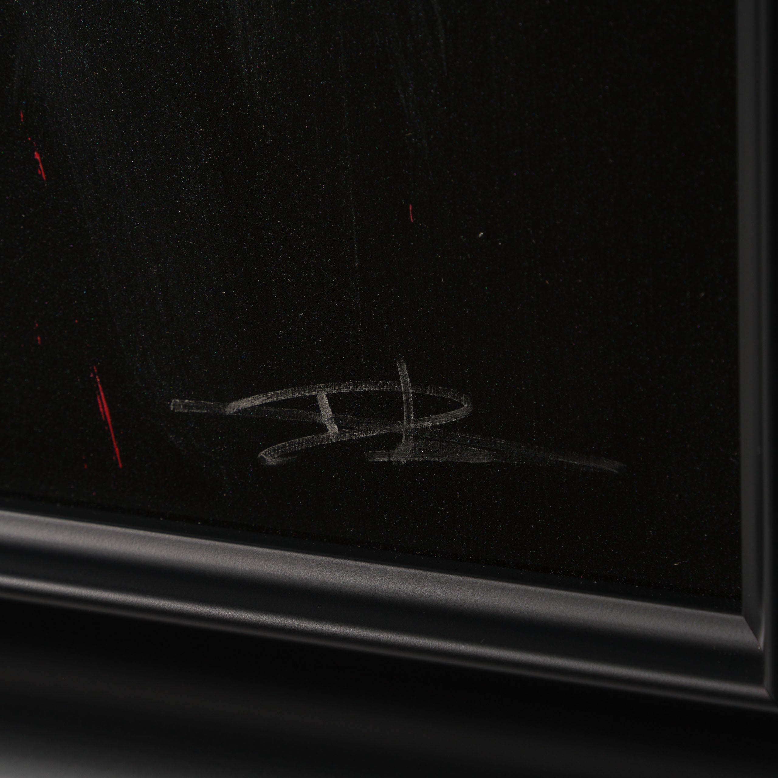 DLN ORI POR 35399 Tropicalis (Night) 3