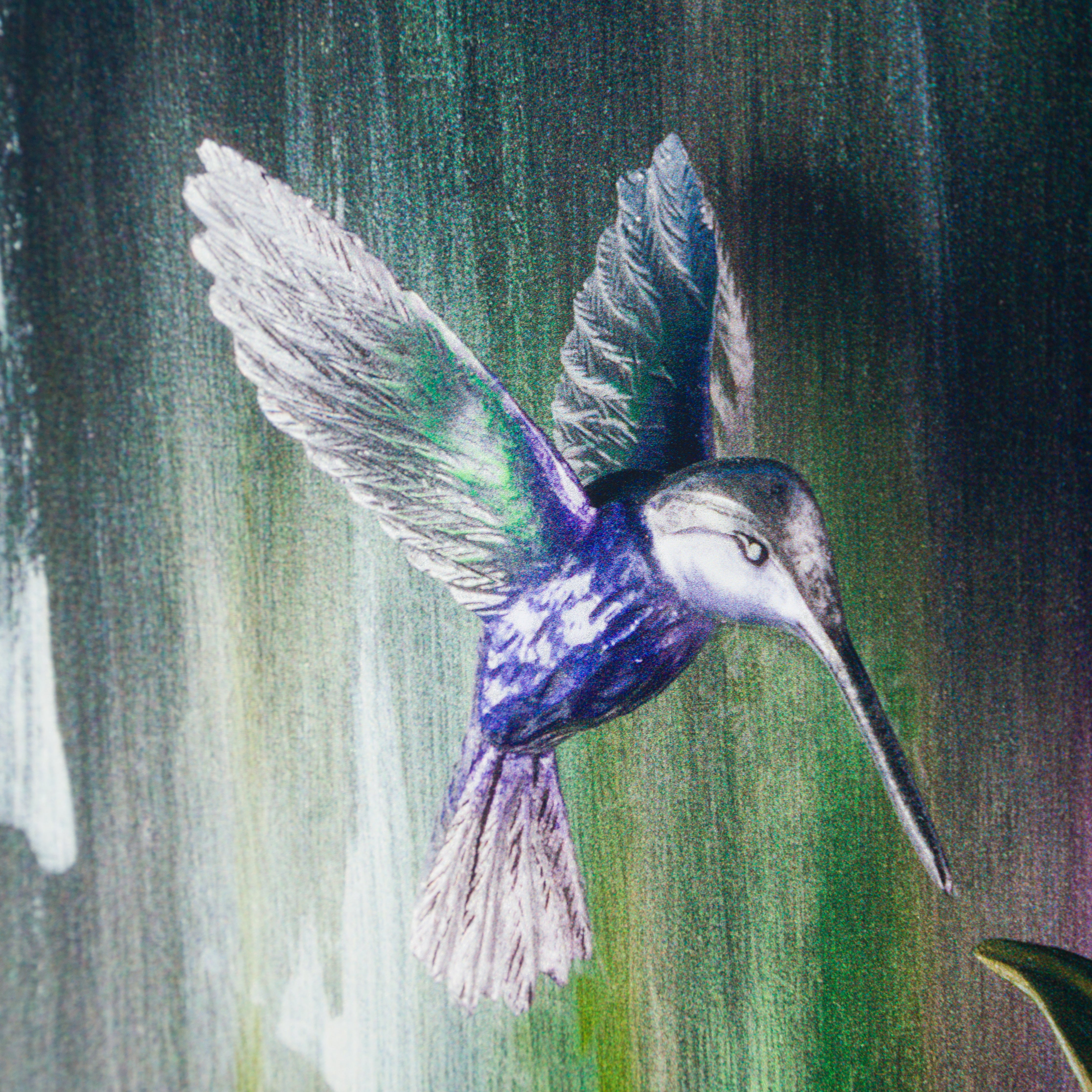 DLN SLE POR 13977 5 The Thin Line Between