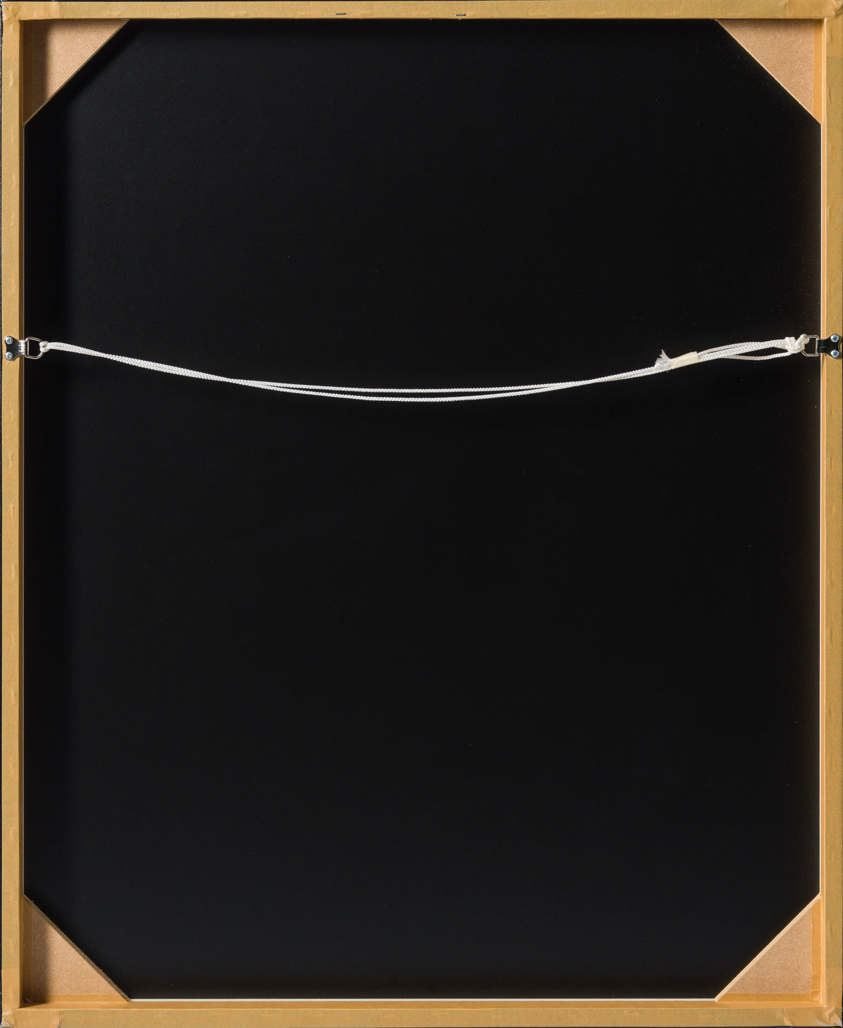 DLN SLE POR 25064 6 Look Into My Eyes II