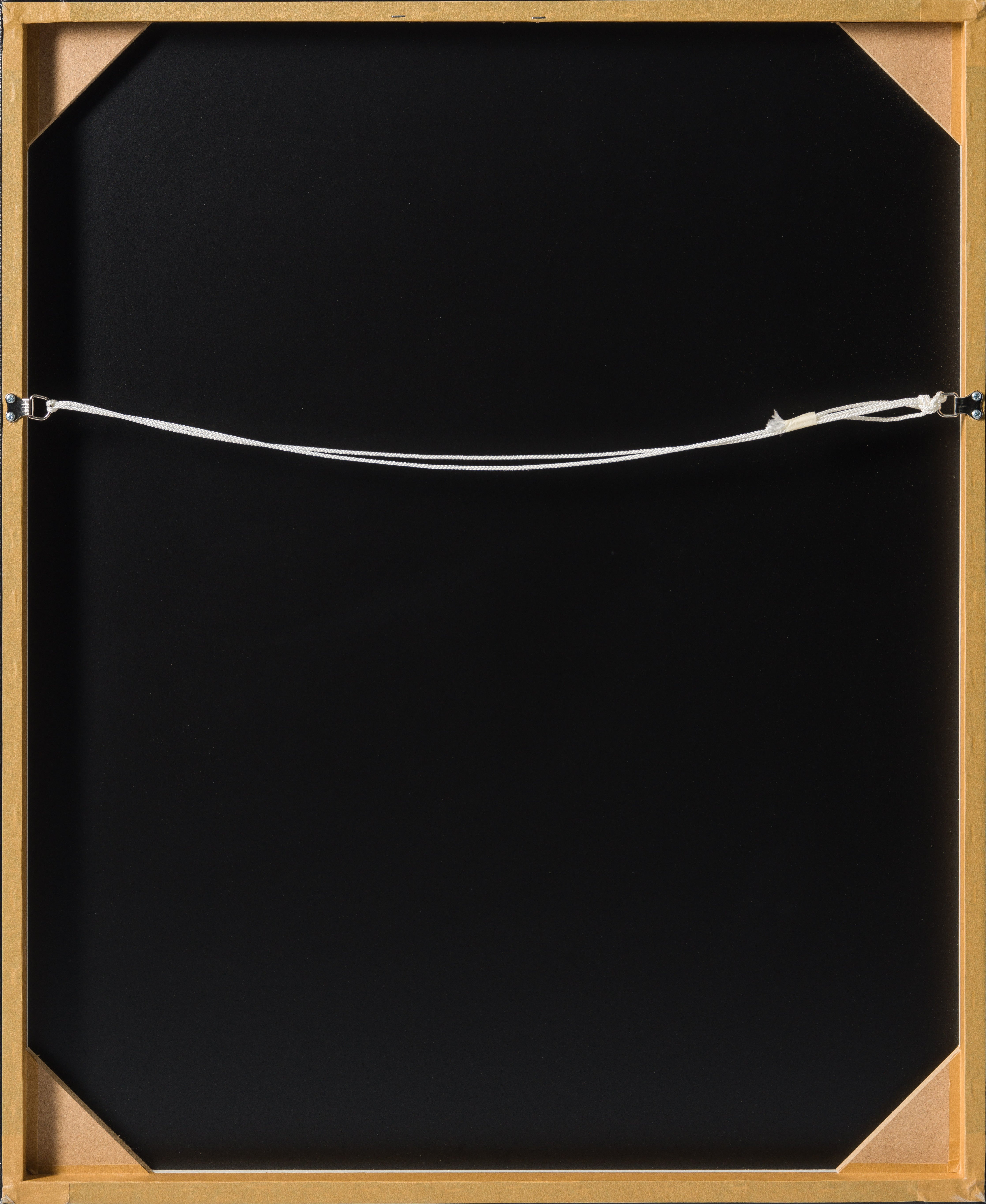 DLN SLE POR 25064 6 Look Into My Eyes II