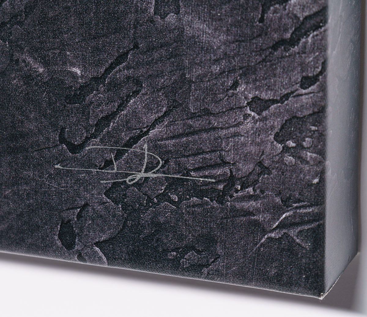 DLN SLE POR 28380 9 Mouse In Da House 2