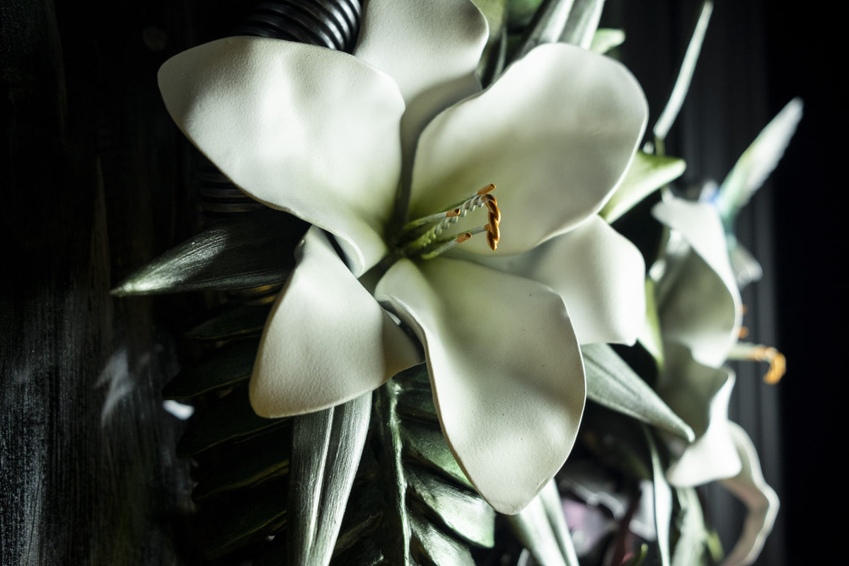 DLN still Life 52 Closeup 01 min