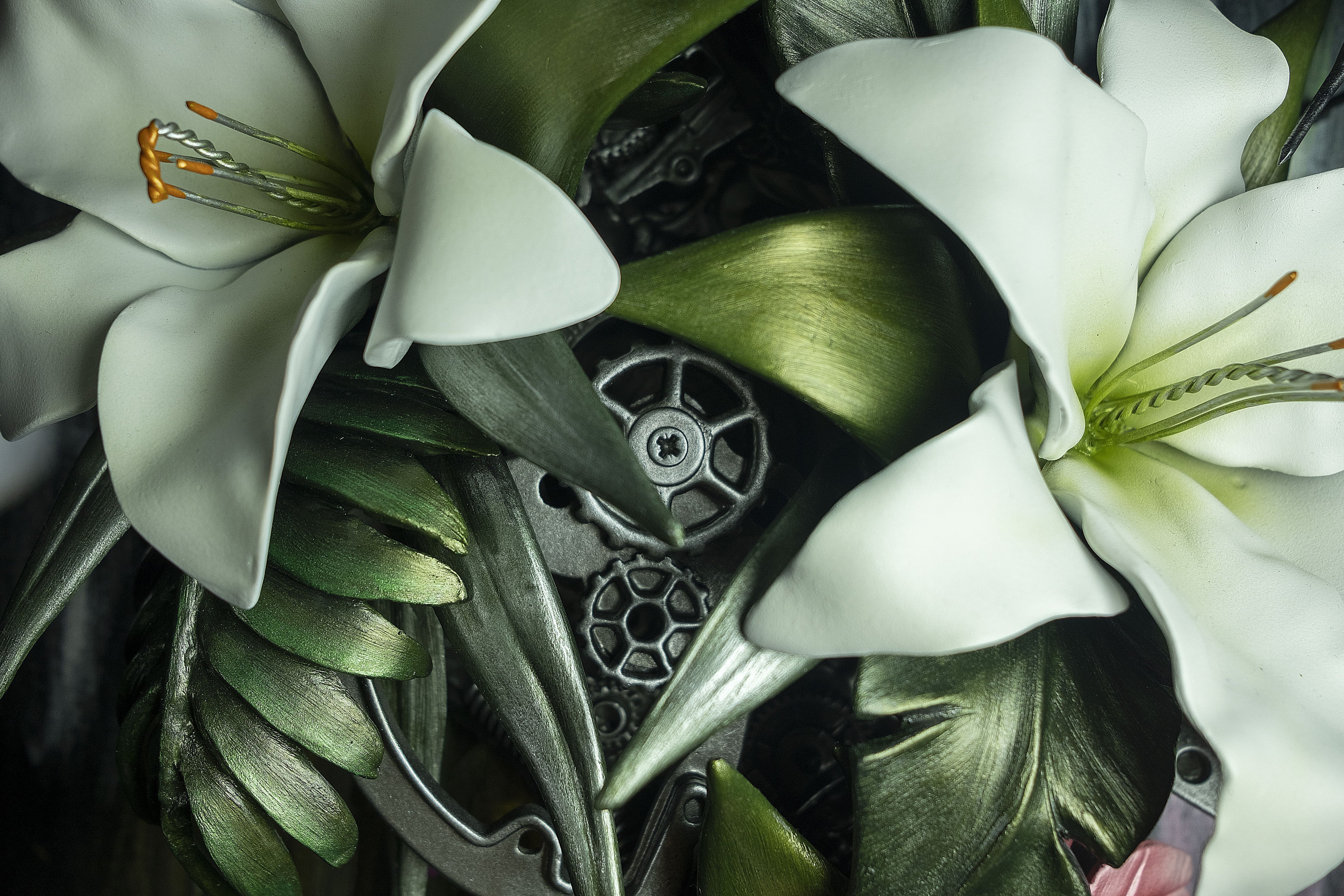 DLN still Life 52 Closeup 02 min