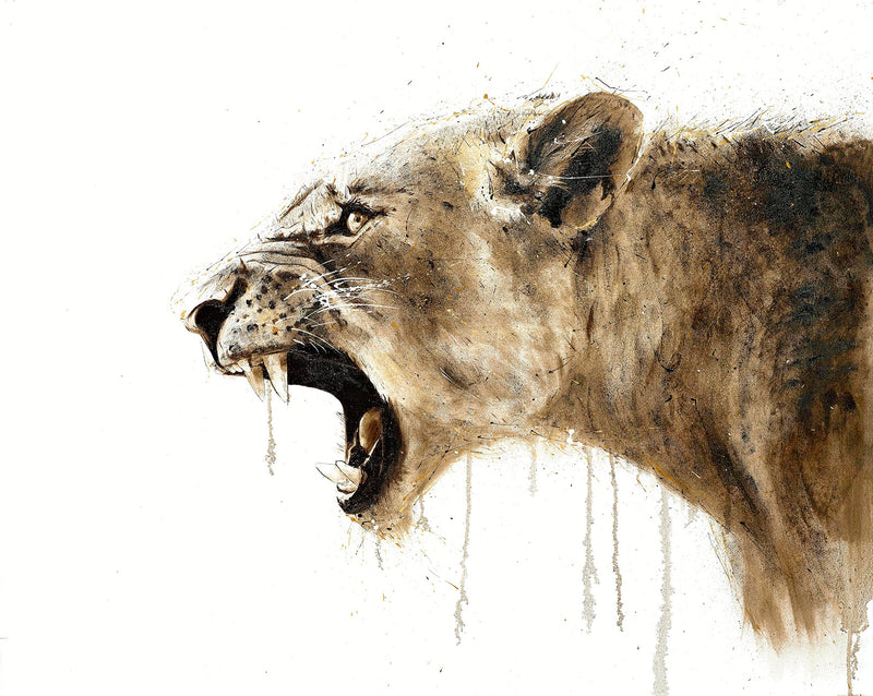 DRE Smoke and Thunder NC RGB LR